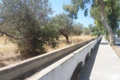 DSC09885ΟΙΚ-63005