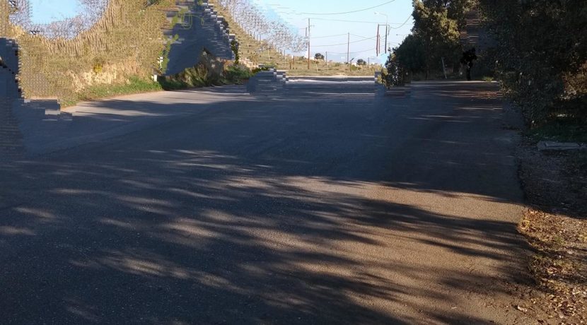 μηχανή Φίλιππα 003