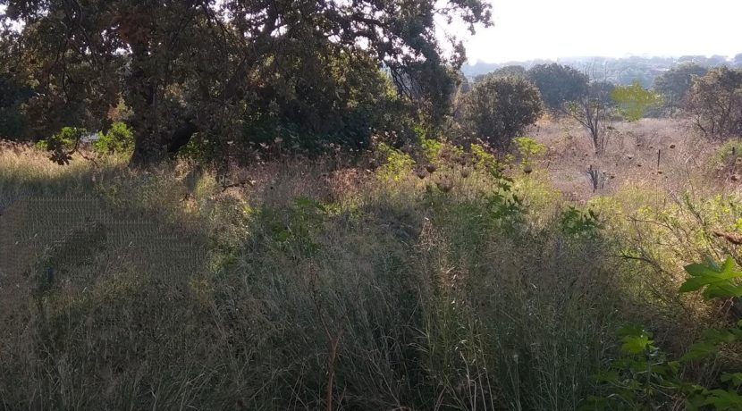 μηχανή Φίλιππα